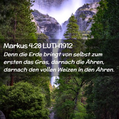 Picture 02 - Markus 4:28 LUTH1912 - Denn die Erde bringt von selbst zum ersten das - Bible Verse Picture