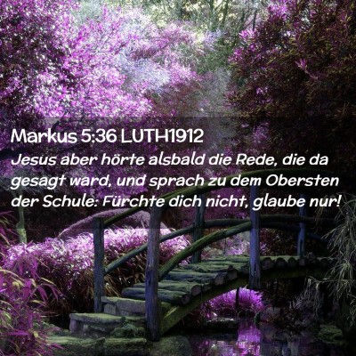 Picture 02 - Markus 5:36 LUTH1912 - Jesus aber hörte alsbald die Rede, die da gesagt - Bible Verse Picture