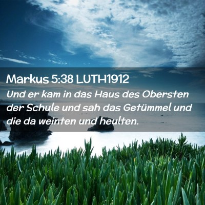 Picture 02 - Markus 5:38 LUTH1912 - Und er kam in das Haus des Obersten der Schule - Bible Verse Picture