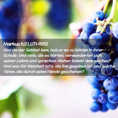 Picture 02 - Markus 6:2 LUTH1912 - Und da der Sabbat kam, hob er an zu lehren in - Bible Verse Picture