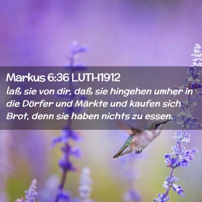 Picture 02 - Markus 6:36 LUTH1912 - laß sie von dir, daß sie hingehen umher in die - Bible Verse Picture