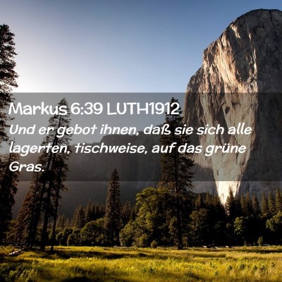Picture 02 - Markus 6:39 LUTH1912 - Und er gebot ihnen, daß sie sich alle lagerten, - Bible Verse Picture