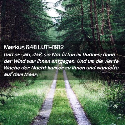 Picture 02 - Markus 6:48 LUTH1912 - Und er sah, daß sie Not litten im Rudern; denn - Bible Verse Picture