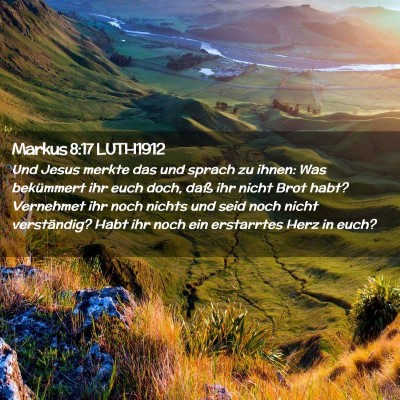 Picture 02 - Markus 8:17 LUTH1912 - Und Jesus merkte das und sprach zu ihnen: Was - Bible Verse Picture