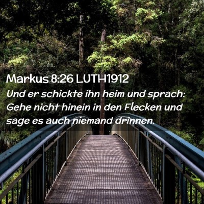 Picture 02 - Markus 8:26 LUTH1912 - Und er schickte ihn heim und sprach: Gehe nicht - Bible Verse Picture