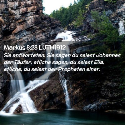 Picture 02 - Markus 8:28 LUTH1912 - Sie antworteten: Sie sagen du seiest Johannes der - Bible Verse Picture