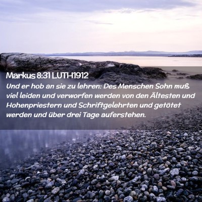 Picture 02 - Markus 8:31 LUTH1912 - Und er hob an sie zu lehren: Des Menschen Sohn - Bible Verse Picture
