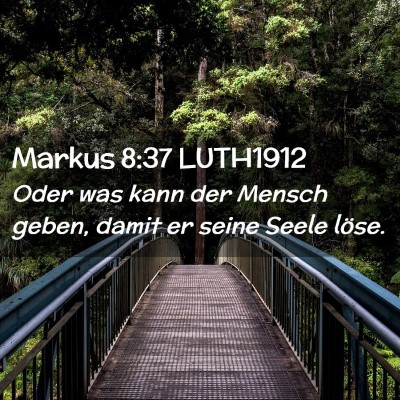 Picture 02 - Markus 8:37 LUTH1912 - Oder was kann der Mensch geben, damit er seine - Bible Verse Picture