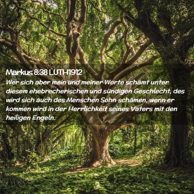 Picture 02 - Markus 8:38 LUTH1912 - Wer sich aber mein und meiner Worte schämt unter - Bible Verse Picture