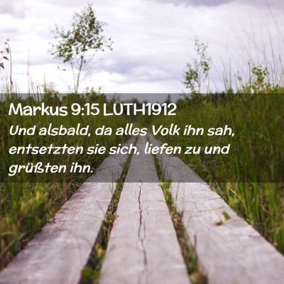 Picture 02 - Markus 9:15 LUTH1912 - Und alsbald, da alles Volk ihn sah, entsetzten - Bible Verse Picture