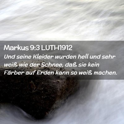 Picture 02 - Markus 9:3 LUTH1912 - Und seine Kleider wurden hell und sehr weiß wie - Bible Verse Picture