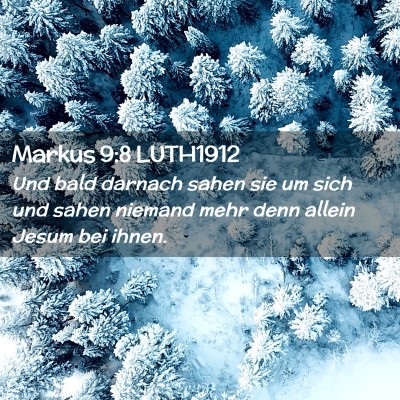 Picture 02 - Markus 9:8 LUTH1912 - Und bald darnach sahen sie um sich und sahen - Bible Verse Picture