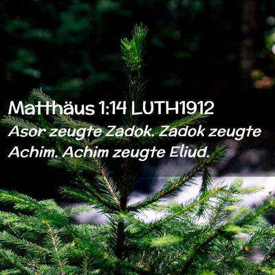 Picture 02 - Matthäus 1:14 LUTH1912 - Asor zeugte Zadok. Zadok zeugte Achim. Achim - Bible Verse Picture