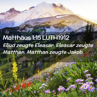 Picture 02 - Matthäus 1:15 LUTH1912 - Eliud zeugte Eleasar. Eleasar zeugte Matthan. - Bible Verse Picture