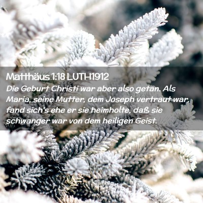Picture 02 - Matthäus 1:18 LUTH1912 - Die Geburt Christi war aber also getan. Als - Bible Verse Picture