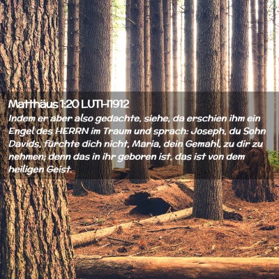 Picture 02 - Matthäus 1:20 LUTH1912 - Indem er aber also gedachte, siehe, da erschien - Bible Verse Picture