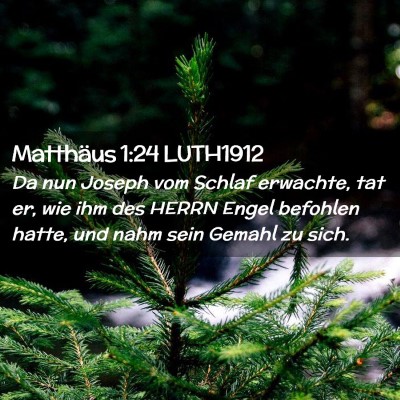 Picture 02 - Matthäus 1:24 LUTH1912 - Da nun Joseph vom Schlaf erwachte, tat er, wie - Bible Verse Picture