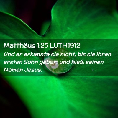 Picture 02 - Matthäus 1:25 LUTH1912 - Und er erkannte sie nicht, bis sie ihren ersten - Bible Verse Picture