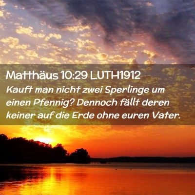 Picture 02 - Matthäus 10:29 LUTH1912 - Kauft man nicht zwei Sperlinge um einen Pfennig? - Bible Verse Picture