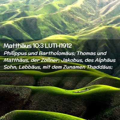 Picture 02 - Matthäus 10:3 LUTH1912 - Philippus und Bartholomäus; Thomas und - Bible Verse Picture