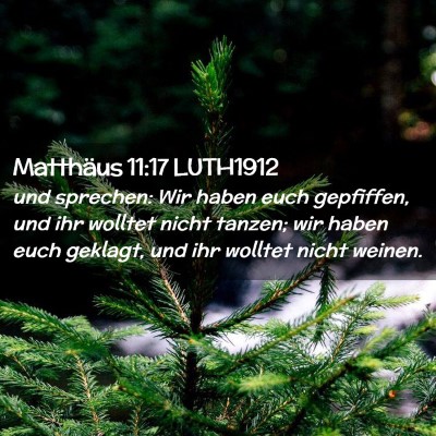 Picture 02 - Matthäus 11:17 LUTH1912 - und sprechen: Wir haben euch gepfiffen, und ihr - Bible Verse Picture