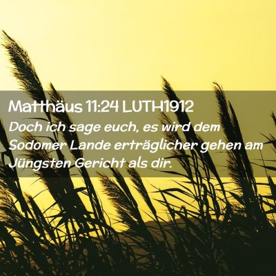 Picture 02 - Matthäus 11:24 LUTH1912 - Doch ich sage euch, es wird dem Sodomer Lande - Bible Verse Picture