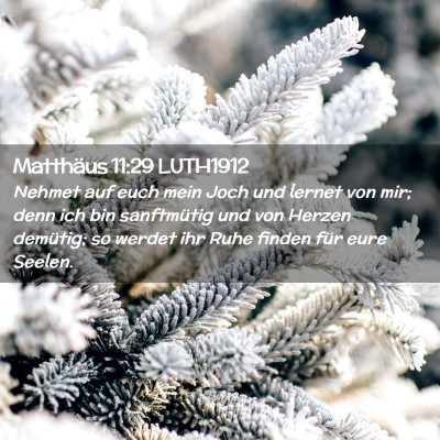 Picture 02 - Matthäus 11:29 LUTH1912 - Nehmet auf euch mein Joch und lernet von mir; - Bible Verse Picture