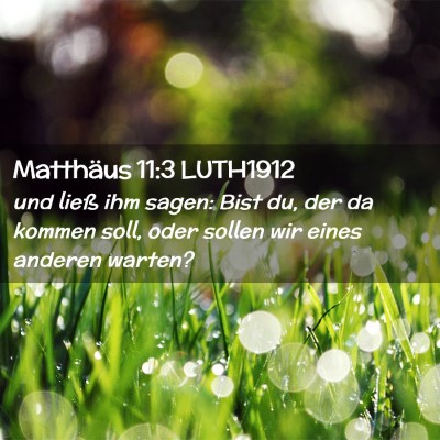 Picture 02 - Matthäus 11:3 LUTH1912 - und ließ ihm sagen: Bist du, der da kommen soll, - Bible Verse Picture