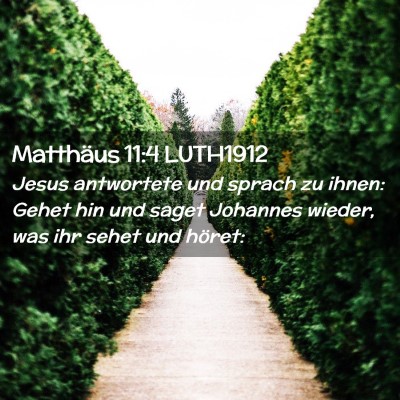 Picture 02 - Matthäus 11:4 LUTH1912 - Jesus antwortete und sprach zu ihnen: Gehet hin - Bible Verse Picture