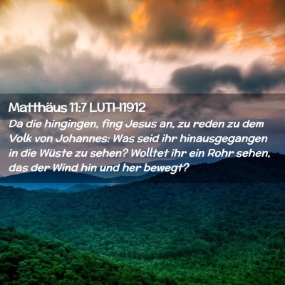 Picture 02 - Matthäus 11:7 LUTH1912 - Da die hingingen, fing Jesus an, zu reden zu dem - Bible Verse Picture