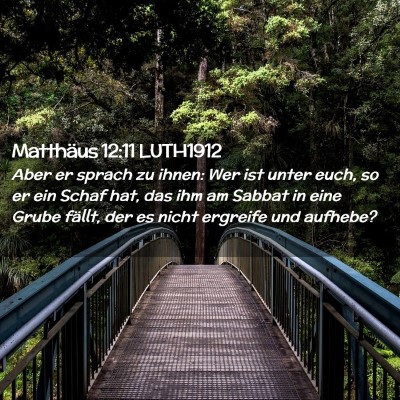 Picture 02 - Matthäus 12:11 LUTH1912 - Aber er sprach zu ihnen: Wer ist unter euch, so - Bible Verse Picture