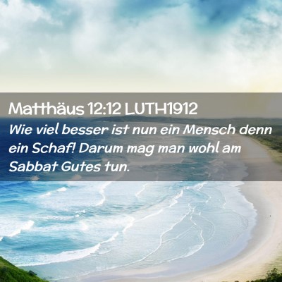 Picture 02 - Matthäus 12:12 LUTH1912 - Wie viel besser ist nun ein Mensch denn ein - Bible Verse Picture