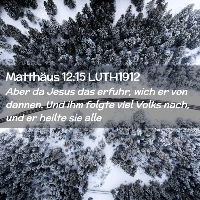 Picture 02 - Matthäus 12:15 LUTH1912 - Aber da Jesus das erfuhr, wich er von dannen. Und - Bible Verse Picture