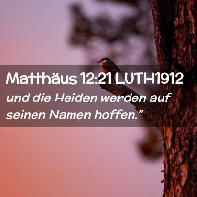 Picture 02 - Matthäus 12:21 LUTH1912 - und die Heiden werden auf seinen Namen - Bible Verse Picture