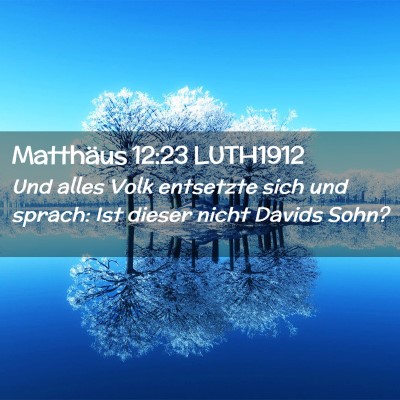 Picture 02 - Matthäus 12:23 LUTH1912 - Und alles Volk entsetzte sich und sprach: Ist - Bible Verse Picture