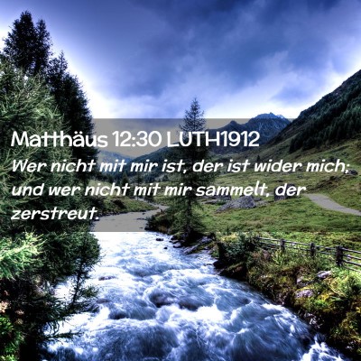 Picture 02 - Matthäus 12:30 LUTH1912 - Wer nicht mit mir ist, der ist wider mich; und - Bible Verse Picture