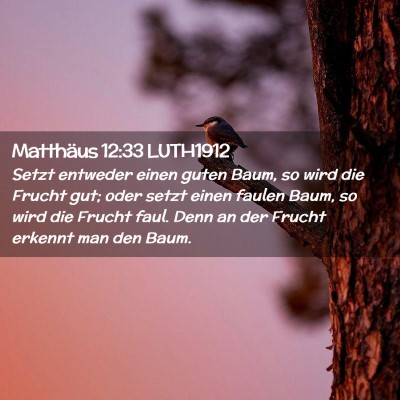 Picture 02 - Matthäus 12:33 LUTH1912 - Setzt entweder einen guten Baum, so wird die - Bible Verse Picture
