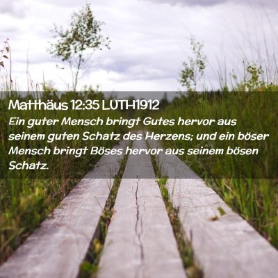 Picture 02 - Matthäus 12:35 LUTH1912 - Ein guter Mensch bringt Gutes hervor aus seinem - Bible Verse Picture