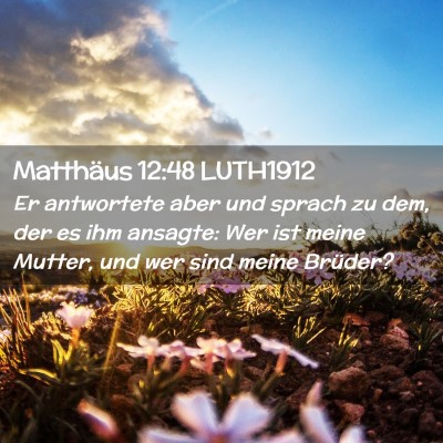 Picture 02 - Matthäus 12:48 LUTH1912 - Er antwortete aber und sprach zu dem, der es ihm - Bible Verse Picture