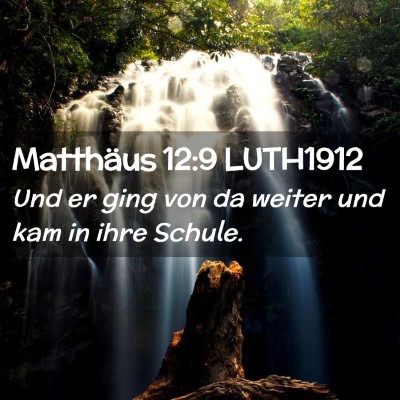 Picture 02 - Matthäus 12:9 LUTH1912 - Und er ging von da weiter und kam in ihre - Bible Verse Picture