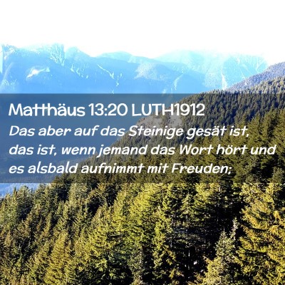 Picture 02 - Matthäus 13:20 LUTH1912 - Das aber auf das Steinige gesät ist, das ist, - Bible Verse Picture