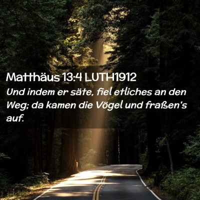Picture 02 - Matthäus 13:4 LUTH1912 - Und indem er säte, fiel etliches an den Weg; da - Bible Verse Picture