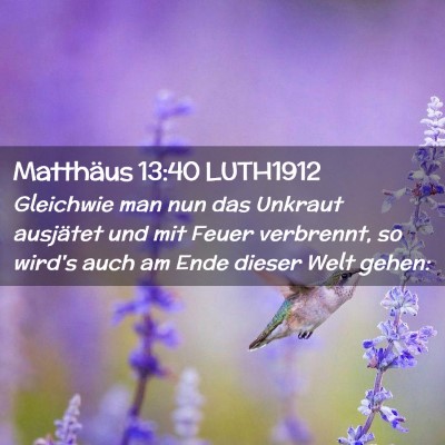 Picture 02 - Matthäus 13:40 LUTH1912 - Gleichwie man nun das Unkraut ausjätet und mit - Bible Verse Picture