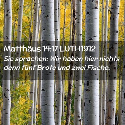 Picture 02 - Matthäus 14:17 LUTH1912 - Sie sprachen: Wir haben hier nichts denn fünf - Bible Verse Picture