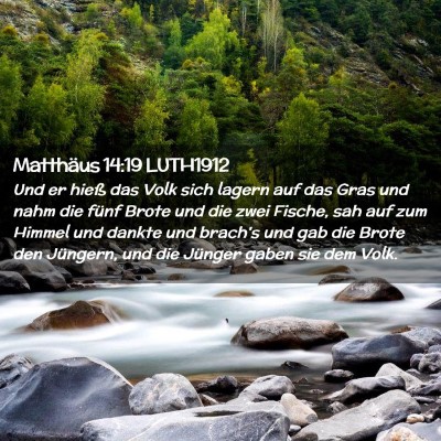Picture 02 - Matthäus 14:19 LUTH1912 - Und er hieß das Volk sich lagern auf das Gras - Bible Verse Picture