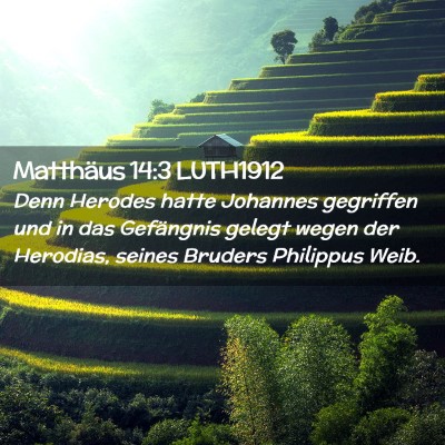 Picture 02 - Matthäus 14:3 LUTH1912 - Denn Herodes hatte Johannes gegriffen und in das - Bible Verse Picture