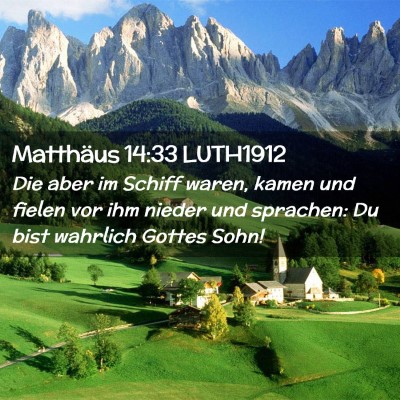 Picture 02 - Matthäus 14:33 LUTH1912 - Die aber im Schiff waren, kamen und fielen vor - Bible Verse Picture
