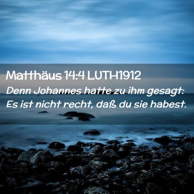 Picture 02 - Matthäus 14:4 LUTH1912 - Denn Johannes hatte zu ihm gesagt: Es ist nicht - Bible Verse Picture