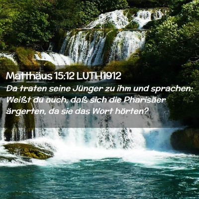 Picture 02 - Matthäus 15:12 LUTH1912 - Da traten seine Jünger zu ihm und sprachen: - Bible Verse Picture