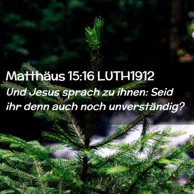 Picture 02 - Matthäus 15:16 LUTH1912 - Und Jesus sprach zu ihnen: Seid ihr denn auch - Bible Verse Picture
